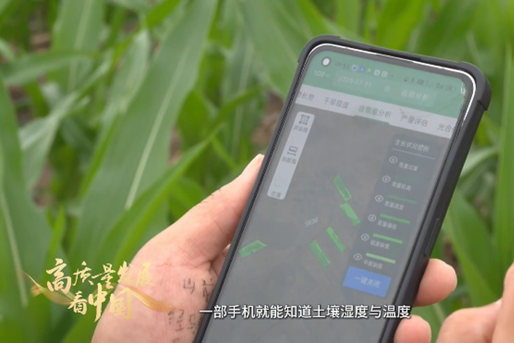 高质量发展看中国 | 科技助农 让种地不再“看天吃饭”